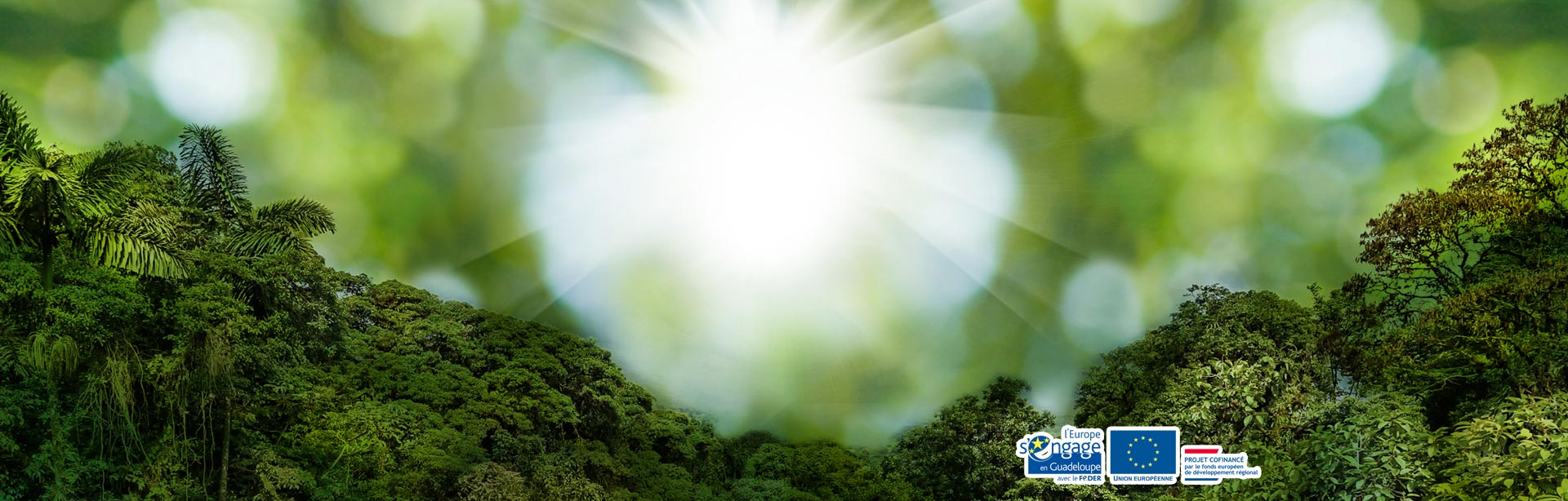 Energies renouvelables chauffe-eaux solaires